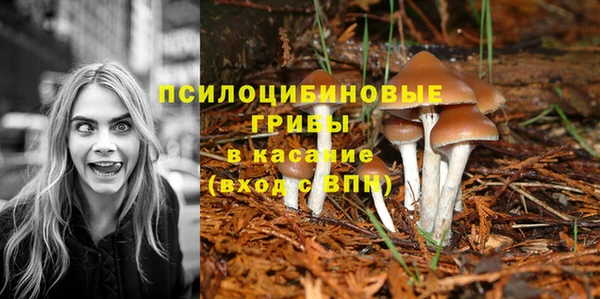 прущая мука Навашино