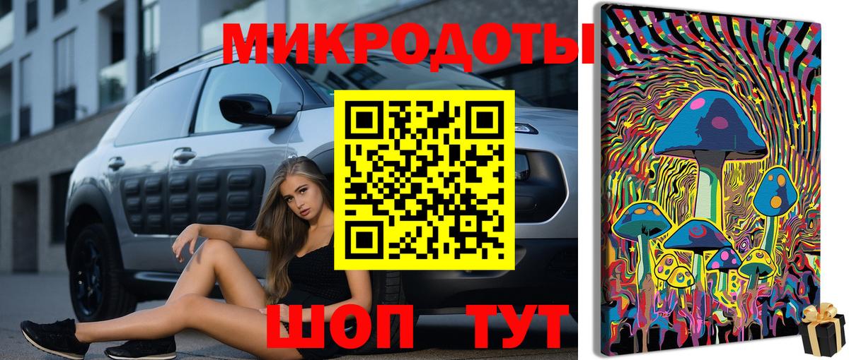 Галлюциногенные грибы Psilocybe Каменка