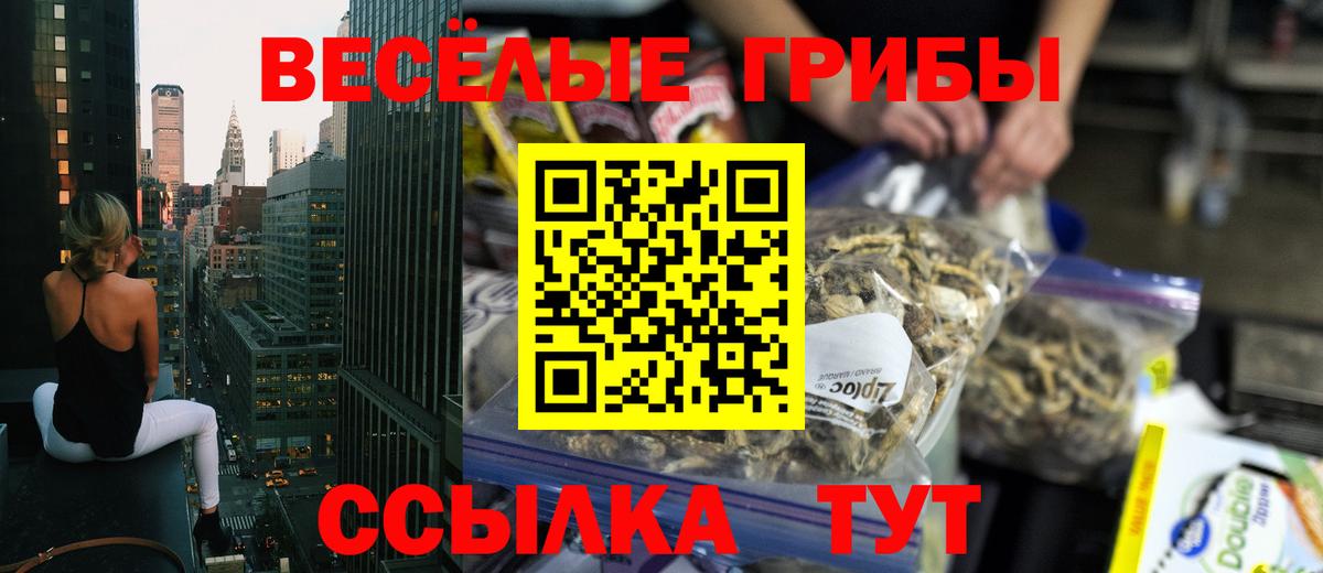 где продают   Вход с VPN  Каменка  Галлюциногенные грибы GOLDEN TEACHER 