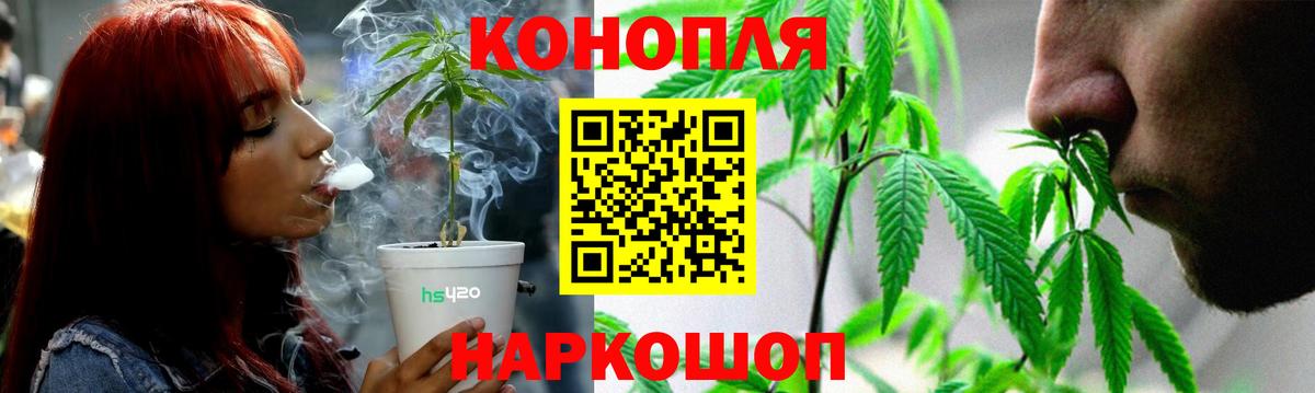 Марихуана сатива  Вход с VPN  Каменка  Марихуана White Widow  Марихуана конопля  Бошки марихуана индика 